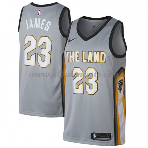 Camisetas Baloncesto Cleveland Cavaliers LeBron James Edition